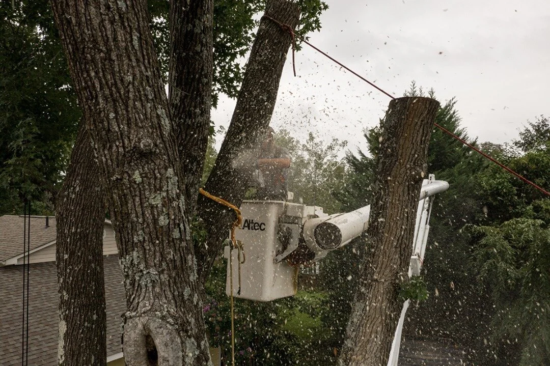 Do you wish you were part of a team that has fun and works hard?⁠
.⁠
Do you have five years of experience climbing trees and operating a bucket?⁠
.⁠
Can you take apart a chainsaw and put it back together with your eyes closed?⁠
.⁠
If you answered yes