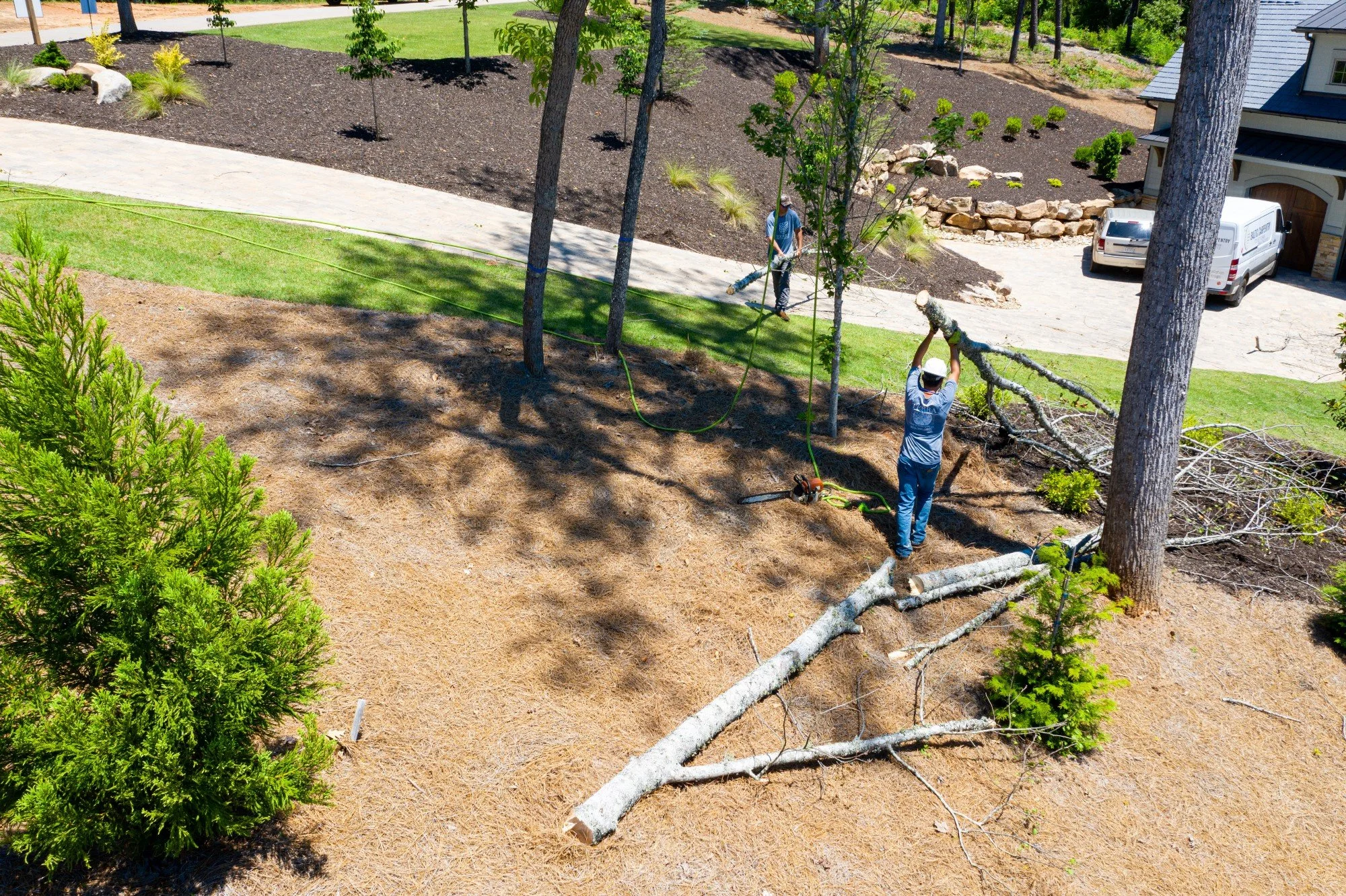Welcome to the Terra Tree Blog!