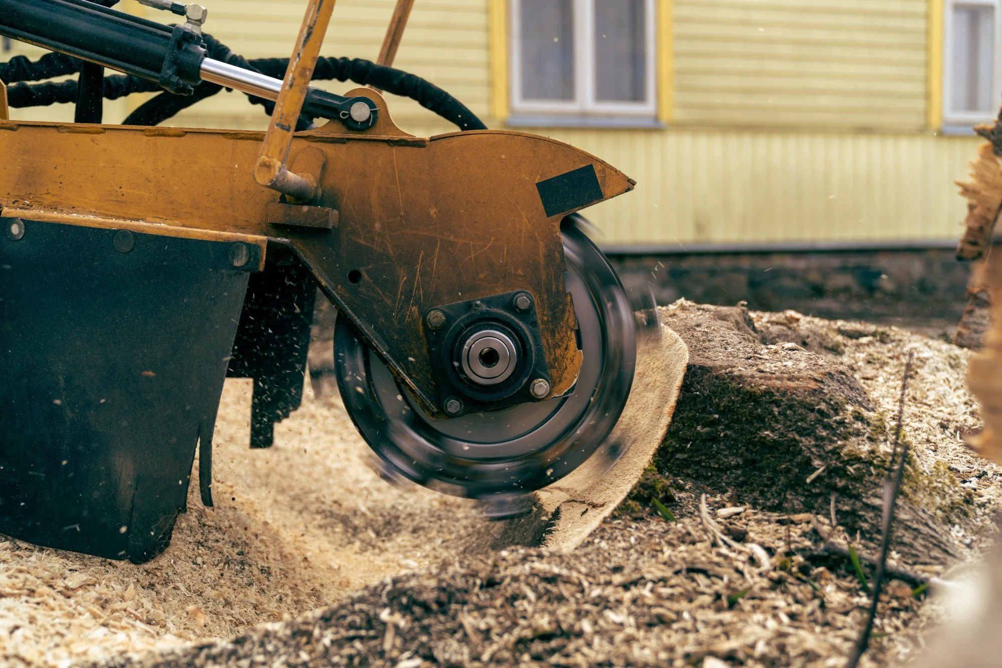 Stump Grinding in Greenville, SC: The Easy Solution to Ugly and Dangerous Tree Stumps